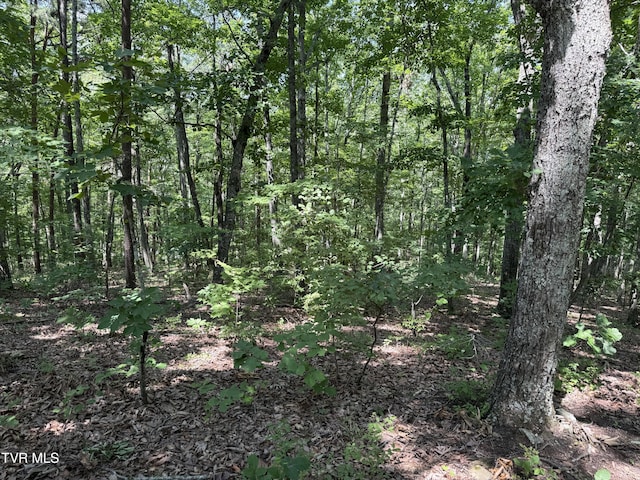 LOT36 Pecan Tree Ln, Newport, TN 37821