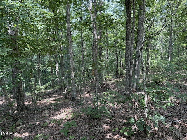 LOT36 Pecan Tree Ln, Newport, TN 37821