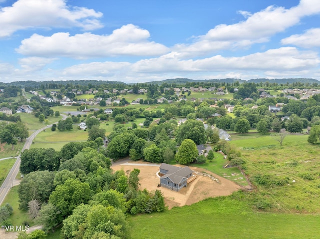 1208 Olde Oaks Dr, Johnson City, TN 37615 - photo 11