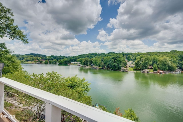 129 Redman Ln, Gray, TN 37615 - photo 33