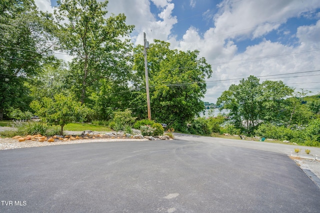 129 Redman Ln, Gray, TN 37615 - photo 60