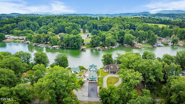 129 Redman Ln, Gray, TN 37615 - photo 2