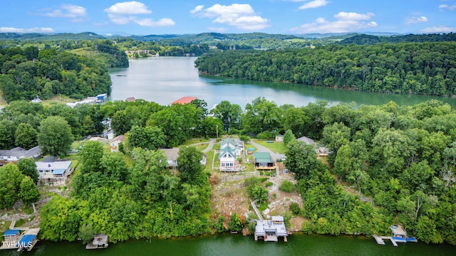 129 Redman Ln, Gray, TN 37615 - photo 63