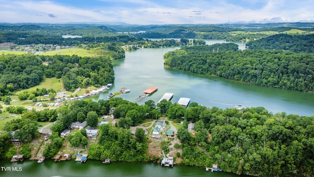 129 Redman Ln, Gray, TN 37615 - photo 64