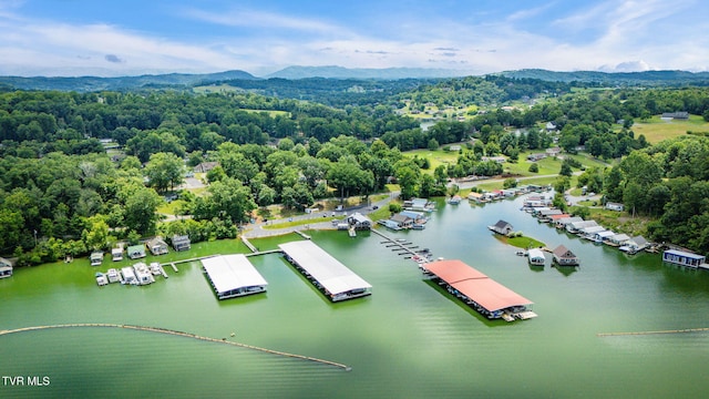 129 Redman Ln, Gray, TN 37615 - photo 66