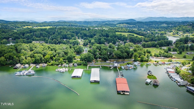 129 Redman Ln, Gray, TN 37615 - photo 67