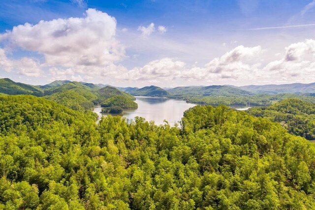 175 Canaan Rd, Butler, TN 37640 - photo 2