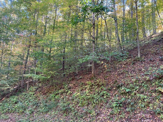 175 Canaan Rd, Butler, TN 37640 - photo 4