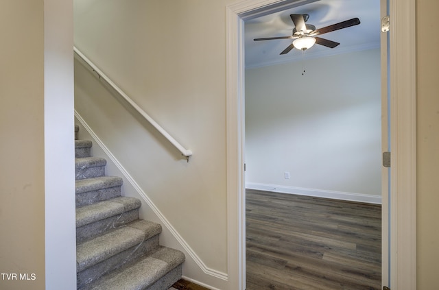 205 Mayflower Rd, Johnson City, TN 37601 - photo 44