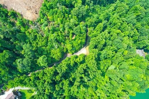 LOT14 Diamond Point Dr, Butler, TN 37640 - photo 6