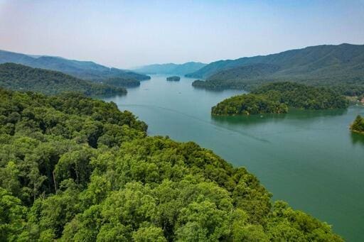 LOT14 Diamond Point Dr, Butler, TN 37640 - photo 8
