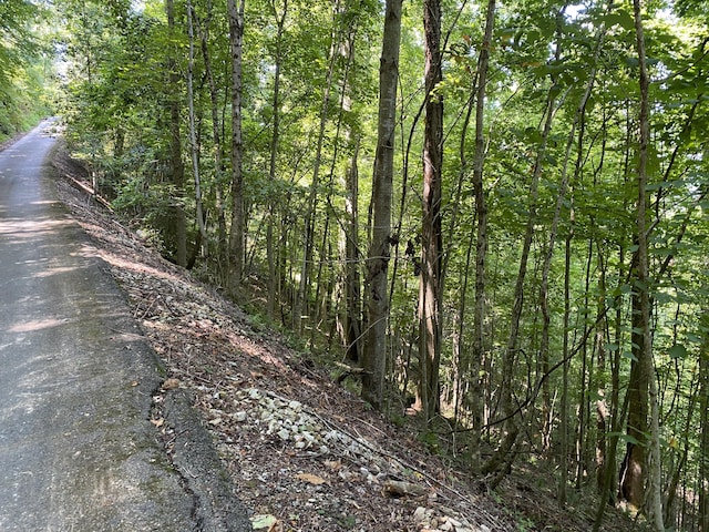 LOT14 Diamond Point Dr, Butler, TN 37640 - photo 12