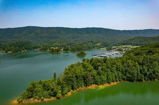 LOT14 Diamond Point Dr, Butler, TN 37640 - photo 16