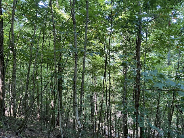 LOT14 Diamond Point Dr, Butler, TN 37640 - photo 20