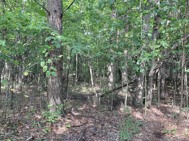 LOT14 Diamond Point Dr, Butler, TN 37640 - photo 21