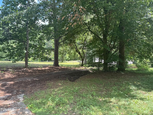 128 Shephards Chapel Rd, Rogersville, TN 37857 - photo 25