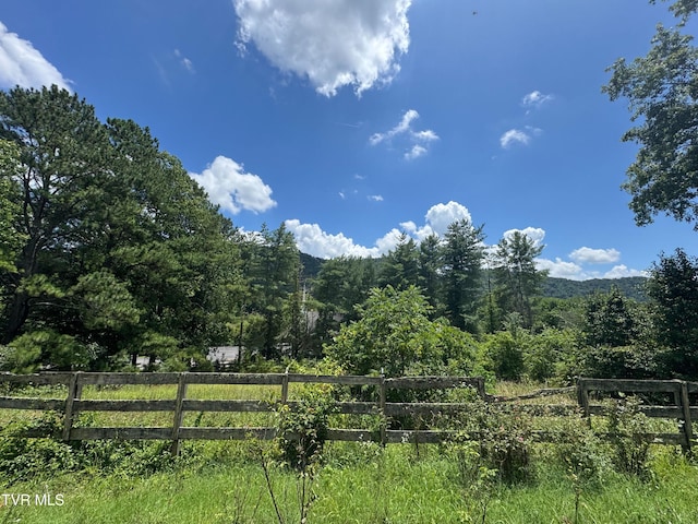 128 Shephards Chapel Rd, Rogersville, TN 37857 - photo 29