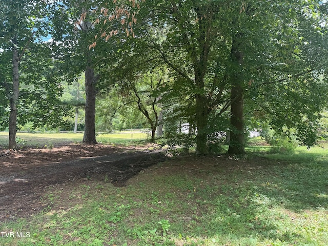 128 Shephards Chapel Rd, Rogersville, TN 37857 - photo 33