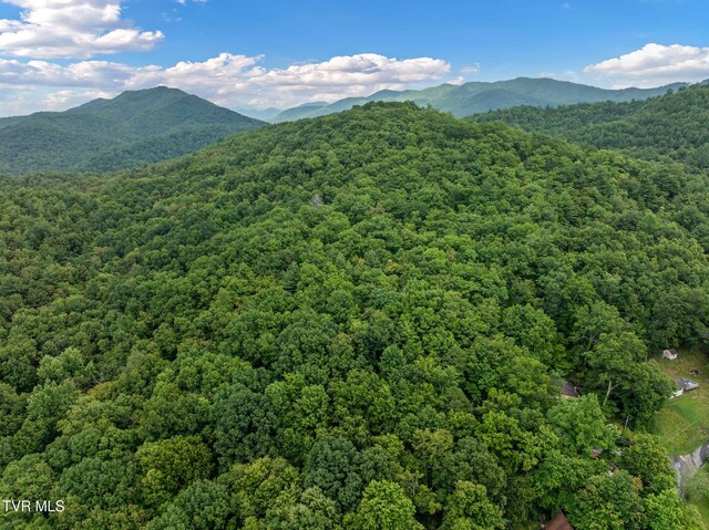 114 Whisper Wood Ln, Johnson City, TN 37601 - photo 52