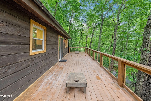 114 Whisper Wood Ln, Johnson City, TN 37601 - photo 63