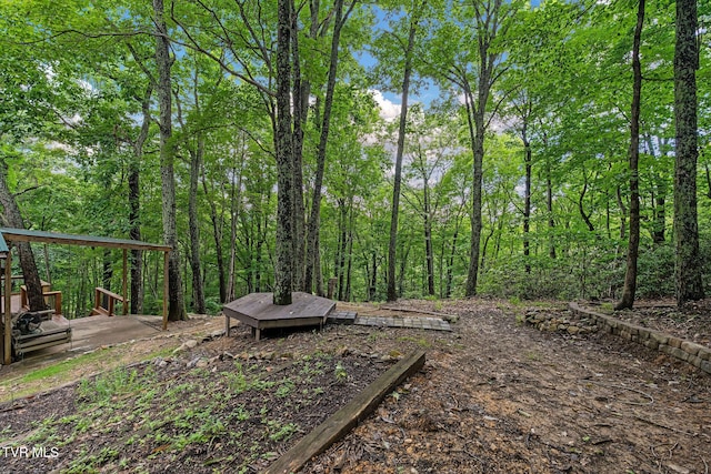 114 Whisper Wood Ln, Johnson City, TN 37601 - photo 65
