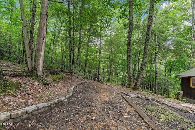 114 Whisper Wood Ln, Johnson City, TN 37601 - photo 67
