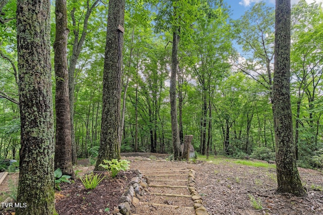 114 Whisper Wood Ln, Johnson City, TN 37601 - photo 69