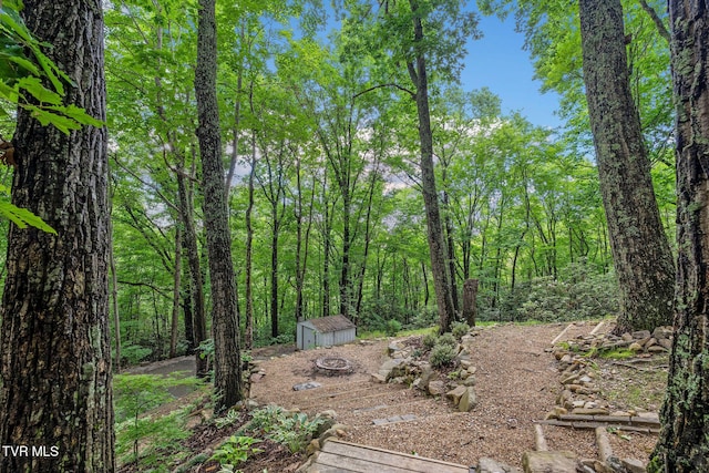 114 Whisper Wood Ln, Johnson City, TN 37601 - photo 70