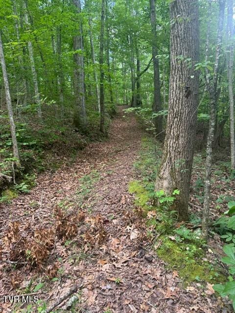 5394 Snake Hollow Rd, Sneedville, TN 37869 - photo 3
