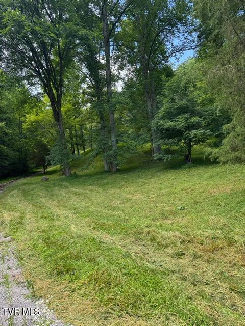 5394 Snake Hollow Rd, Sneedville, TN 37869 - photo 4