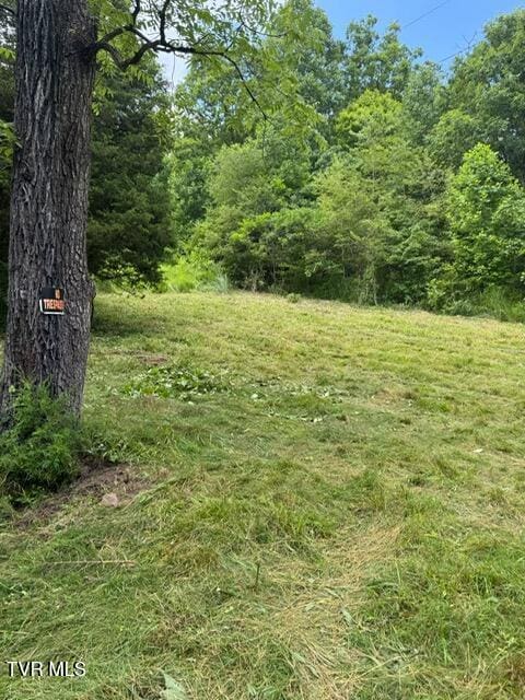 5394 Snake Hollow Rd, Sneedville, TN 37869 - photo 5