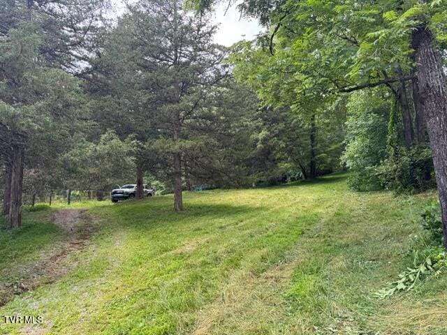 5394 Snake Hollow Rd, Sneedville, TN 37869 - photo 6