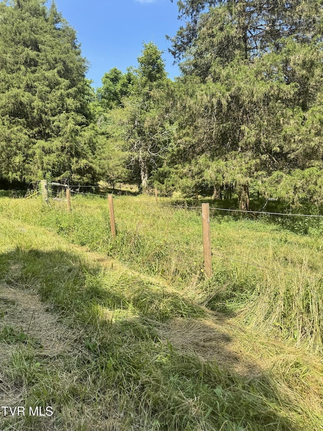 5394 Snake Hollow Rd, Sneedville, TN 37869 - photo 11