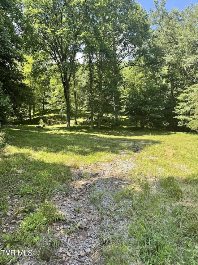 5394 Snake Hollow Rd, Sneedville, TN 37869 - photo 12