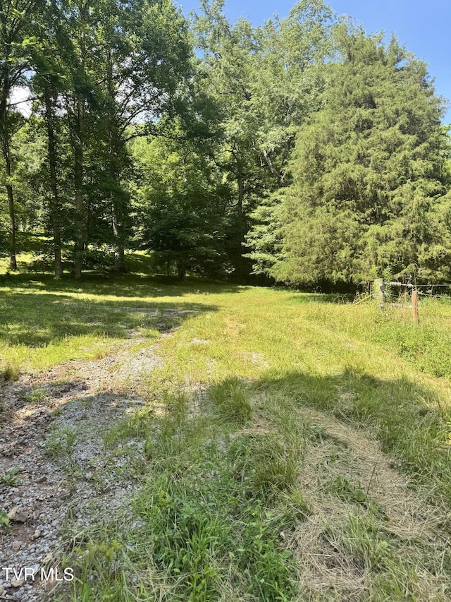 5394 Snake Hollow Rd, Sneedville, TN 37869 - photo 13