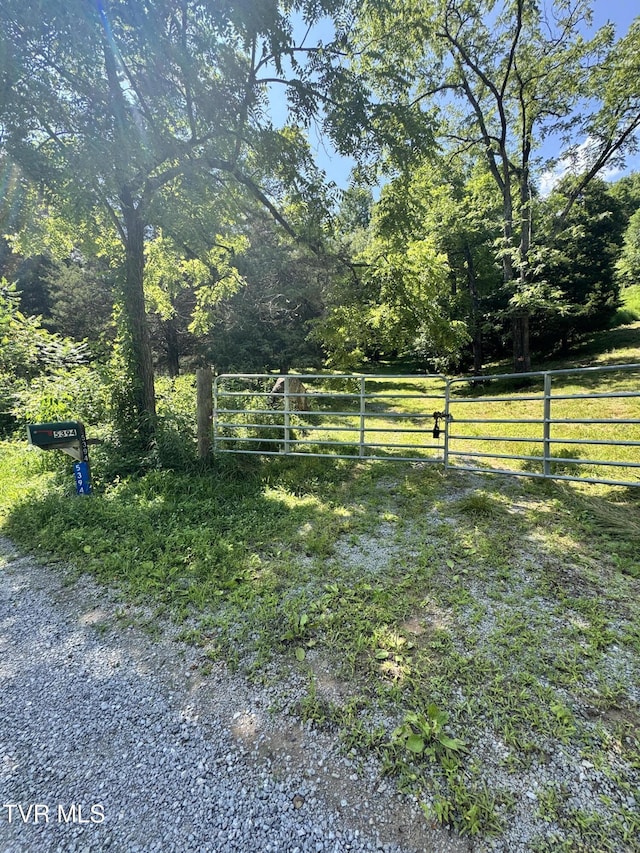 5394 Snake Hollow Rd, Sneedville, TN 37869 - photo 14
