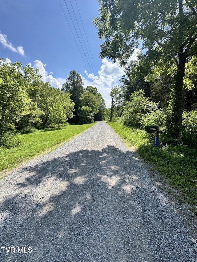 5394 Snake Hollow Rd, Sneedville, TN 37869 - photo 15