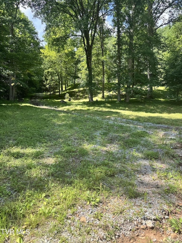 5394 Snake Hollow Rd, Sneedville, TN 37869 - photo 17