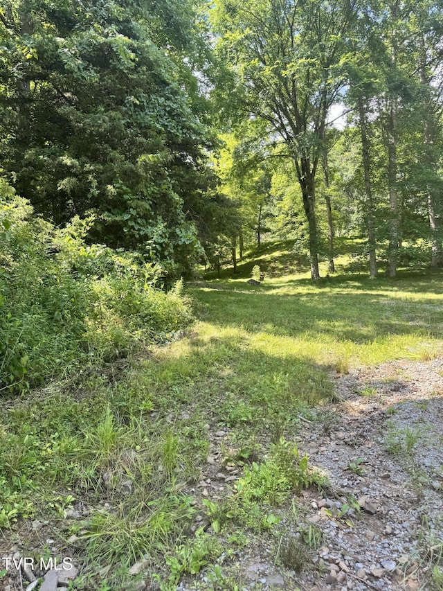5394 Snake Hollow Rd, Sneedville, TN 37869 - photo 18