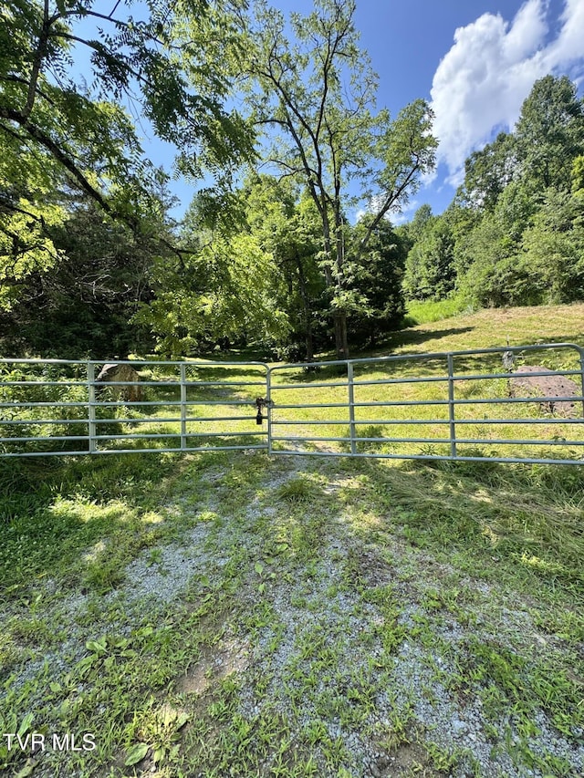5394 Snake Hollow Rd, Sneedville, TN 37869 - photo 19