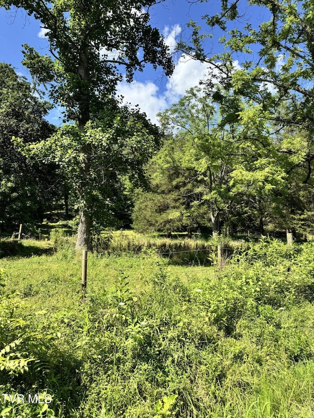 5394 Snake Hollow Rd, Sneedville, TN 37869 - photo 20
