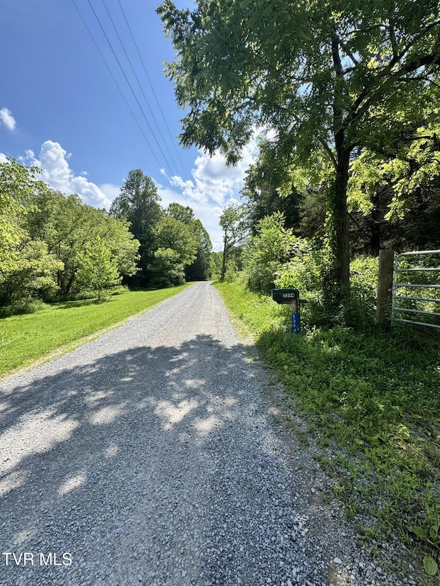 5394 Snake Hollow Rd, Sneedville, TN 37869 - photo 22