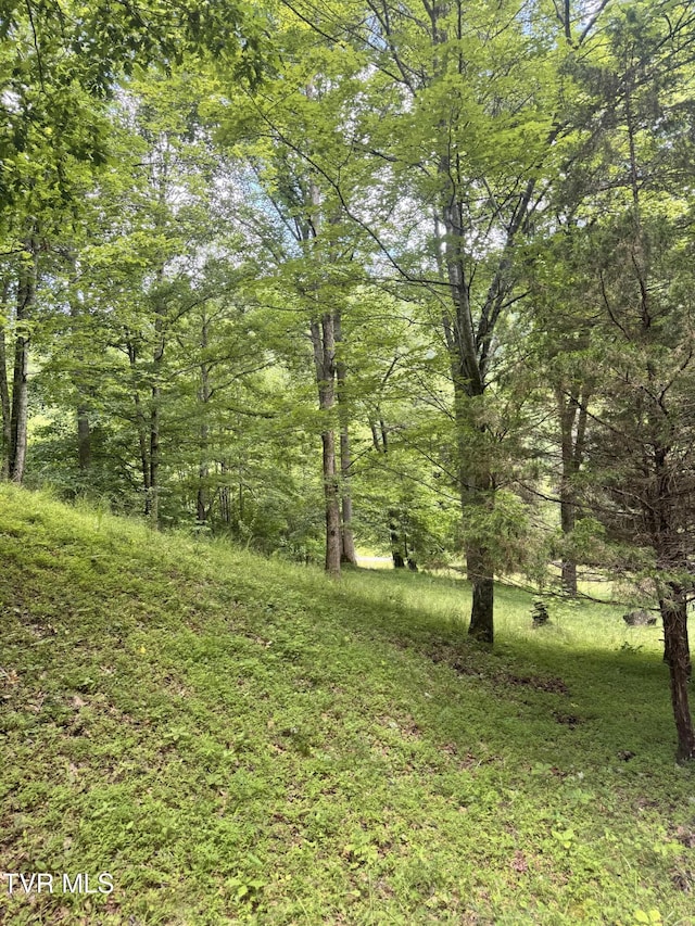 5394 Snake Hollow Rd, Sneedville, TN 37869 - photo 23