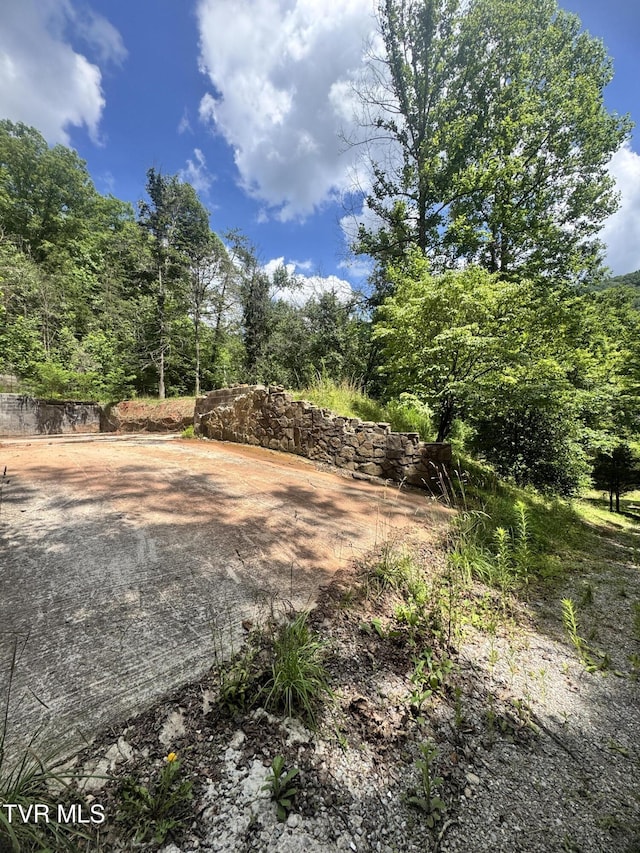 5394 Snake Hollow Rd, Sneedville, TN 37869 - photo 24