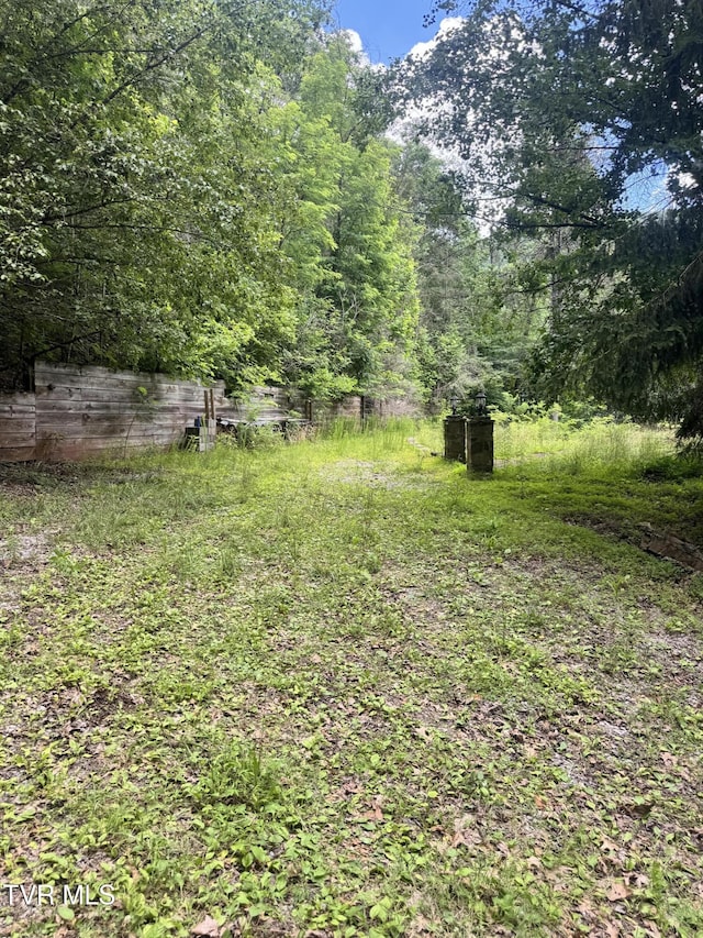 5394 Snake Hollow Rd, Sneedville, TN 37869 - photo 25