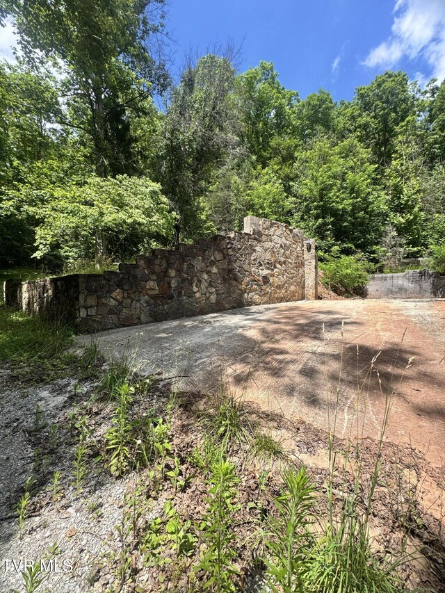 5394 Snake Hollow Rd, Sneedville, TN 37869 - photo 26