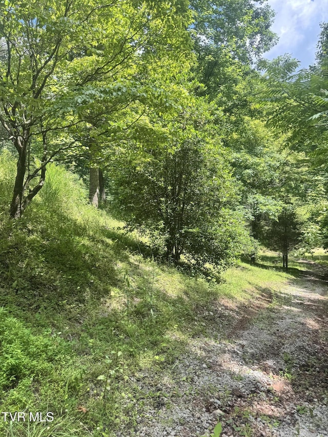 5394 Snake Hollow Rd, Sneedville, TN 37869 - photo 27