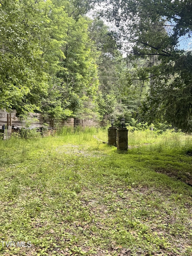 5394 Snake Hollow Rd, Sneedville, TN 37869 - photo 28