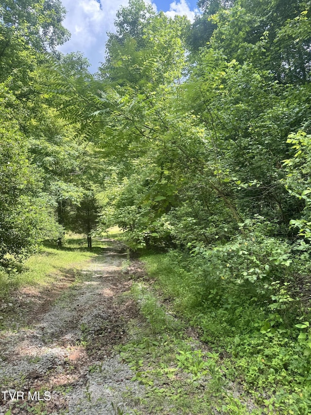 5394 Snake Hollow Rd, Sneedville, TN 37869 - photo 30