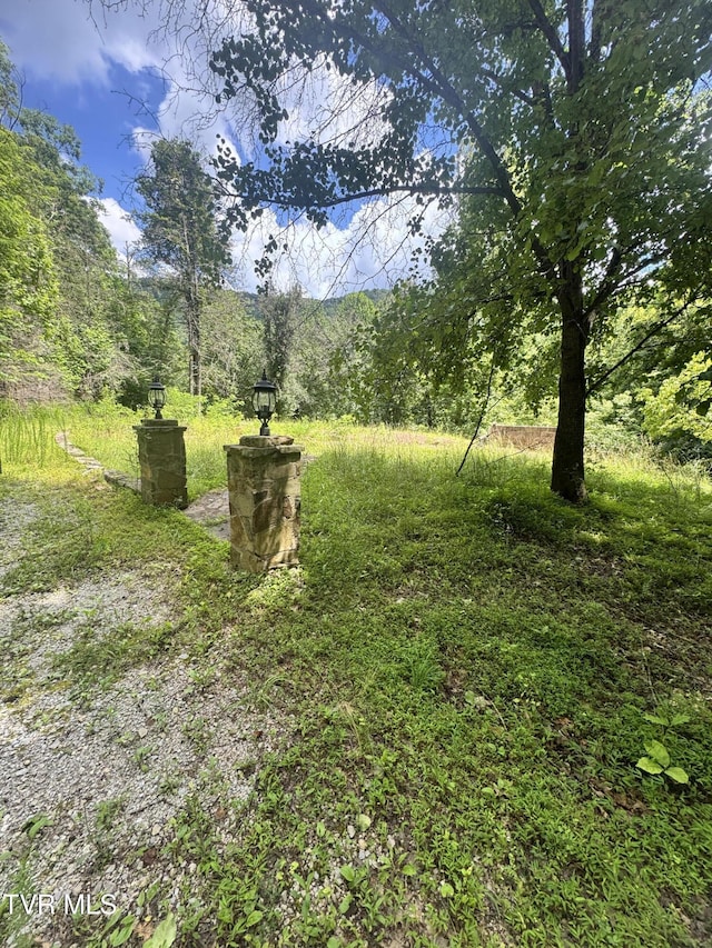5394 Snake Hollow Rd, Sneedville, TN 37869 - photo 31